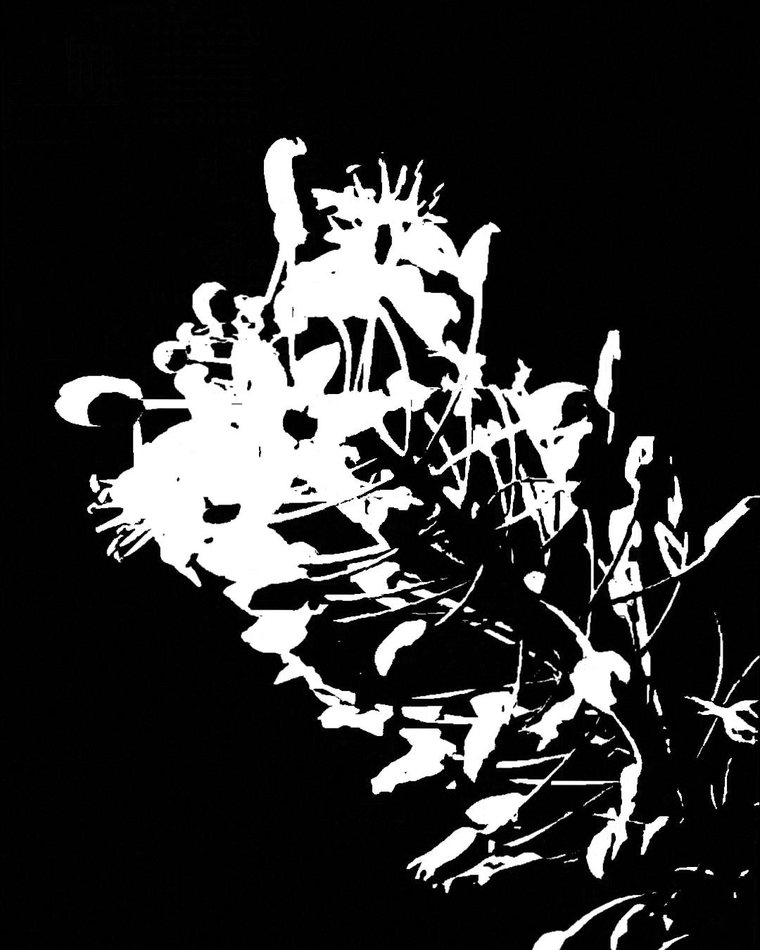 Cornerstone Indicators